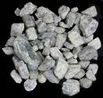 Rough Labradorite (Small Pieces) Wholesale Lot - pounds #59616-1